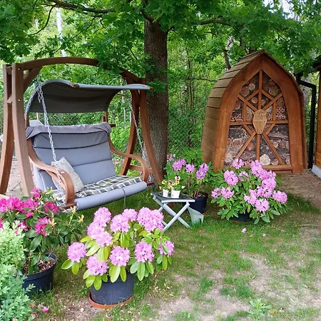 Letniak Pod Debami *