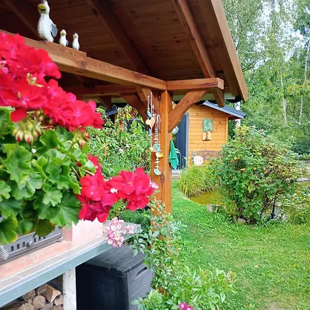 Letniak Pod Debami Grabina