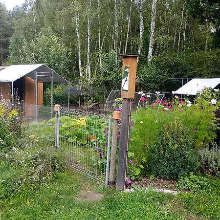 Будинок відпочинку Letniak Pod Debami